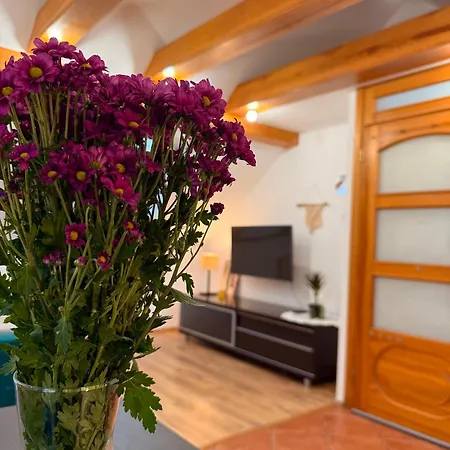 Widokowo - Z Tarasem I Ogrodkiem Apartman Tuchom