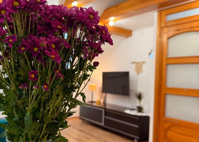 Widokowo - Z Tarasem I Ogrodkiem Lägenhet Tuchom